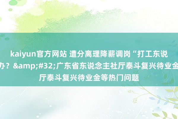 kaiyun官方网站 遭分离理降薪调岗“打工东说念主”怎样办？&#32;广东省东说念主社厅泰斗复兴待业金等热门问题