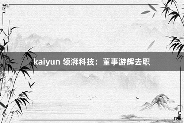 kaiyun 领湃科技：董事游辉去职