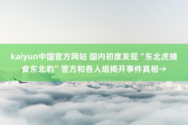 kaiyun中国官方网站 国内初度发现“东北虎捕食东北豹”警方和各人组揭开事件真相→