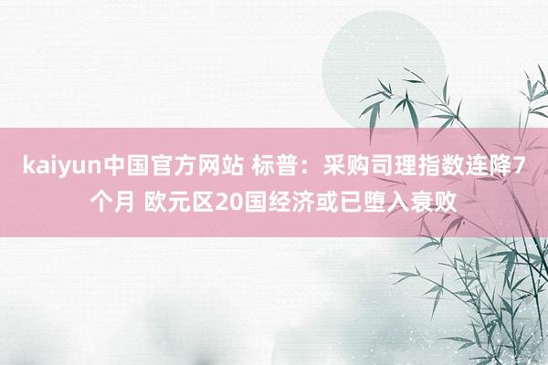 kaiyun中国官方网站 标普：采购司理指数连降7个月 欧元区20国经济或已堕入衰败