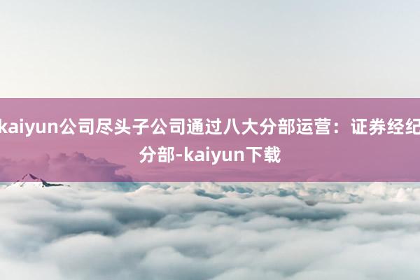 kaiyun公司尽头子公司通过八大分部运营：证券经纪分部-kaiyun下载