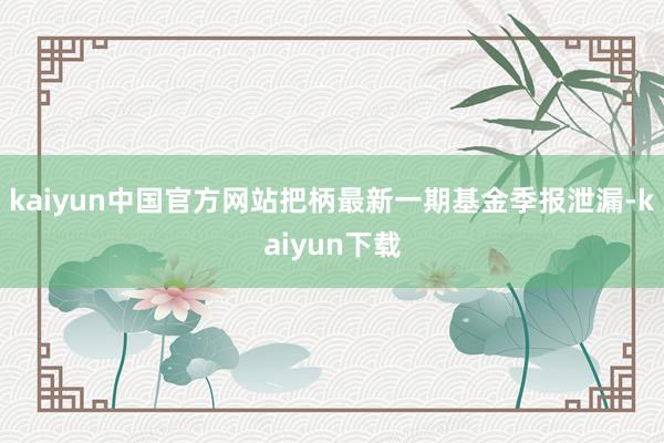 kaiyun中国官方网站把柄最新一期基金季报泄漏-kaiyun下载